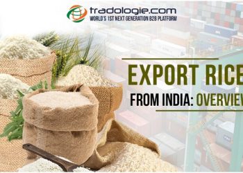 Export Rice from India Overview: Concept and Document Required