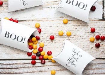 Pillow Boxes That Are Versatile and Offer Variety