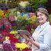 Quick Guide to Choosing Quality Flowers