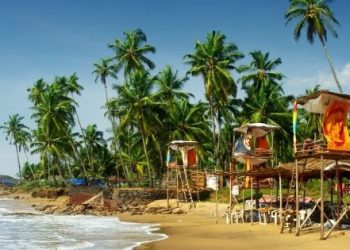 8 Must Visit Places in Goa