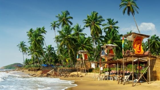 8 Must Visit Places in Goa