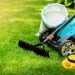 Basic Lawn Care and Maintenance Tips
