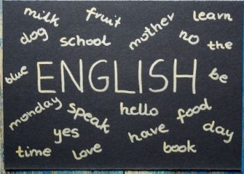 English essay writing help