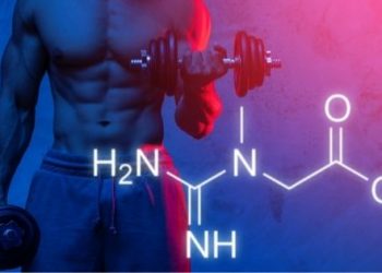 Know Which is the Best Creatine to Build Muscle