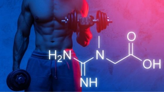 Know Which is the Best Creatine to Build Muscle
