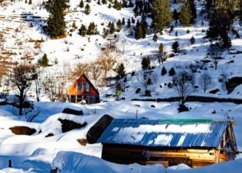 Manali, Himachal Pradesh