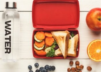 The Lunch Boxes For Teenage Girl survival guide