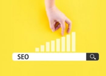 Seo Company In Bhagalpur