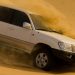 Desert Safari