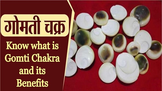 Know what is Gomti Chakra and its benefits