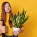Moving Soon? Here is Why Should You Hire Professional Movers