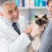 Veterinary Clinic