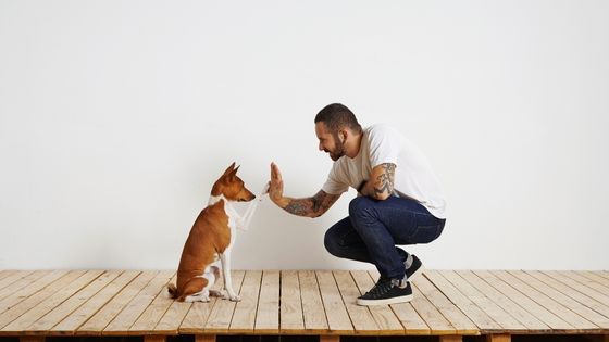 Pet Circle discount code