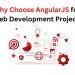Why Choose AngularJS for Web Development Project