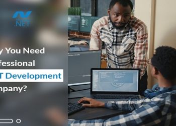 why you need .net development company