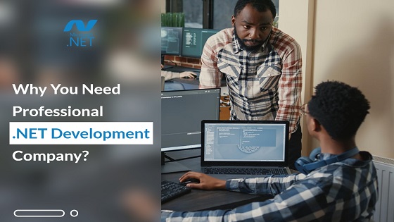 why you need .net development company