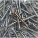 Tools and Accessories to Make Installing Drywall Screw Easier