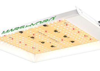 A Full Spectrum LED Grow Lights and How it is Beneficial for the Growth of Plants