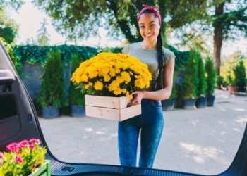 the language of blooms expressing emotions through flower delivery