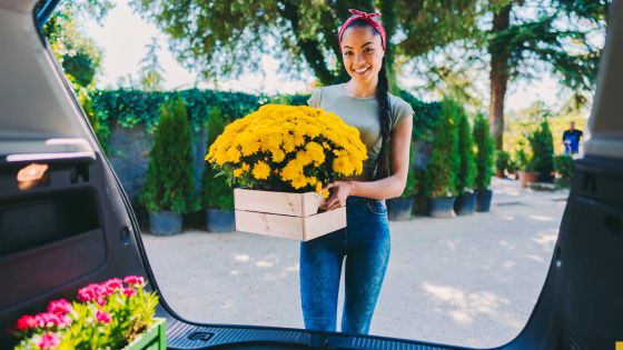 the language of blooms expressing emotions through flower delivery